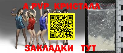 дмт Будённовск