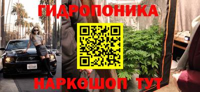 дмт Будённовск