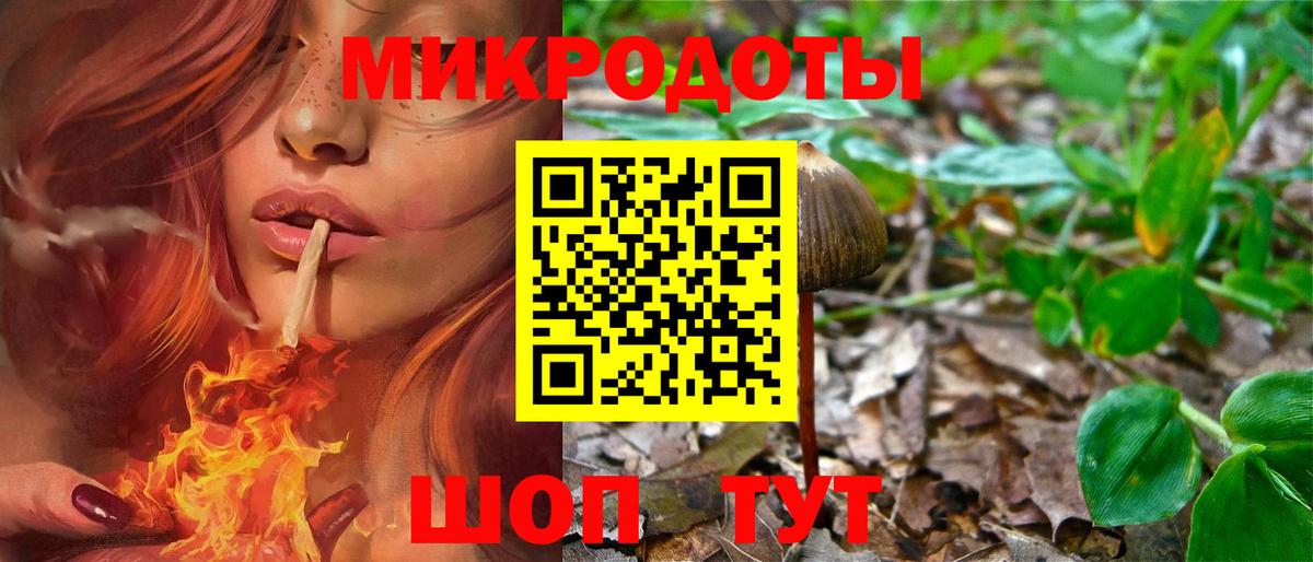 Галлюциногенные грибы прущие грибы  Галлюциногенные грибы Cubensis  Вход с VPN  Майский 