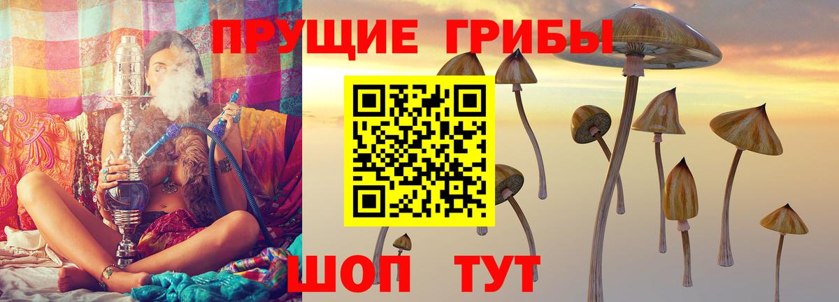 Псилоцибиновые грибы MAGIC MUSHROOMS Майский